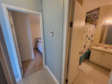 Affordable Luxury in a 55+ Community One of the rare 3-bedroom - photo 18
