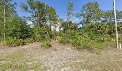 Lehigh Acres Area Lot For Sale in Lehigh Acres Florida