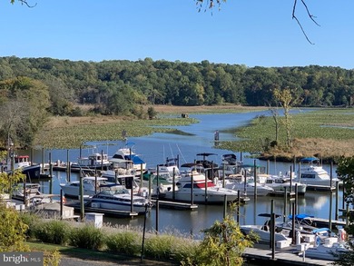 Waterfront Living on Aquia Creek! Move-In Ready 3BR, 3.5BA Brick - photo 45