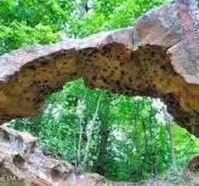 Stunning Pond View on .92 Acres! Welcome home to this - photo 45
