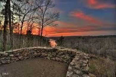 Stunning Pond View on .92 Acres! Welcome home to this - photo 46