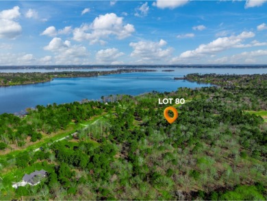 1 Waterfront Lot, 1 Acreage - photo 13