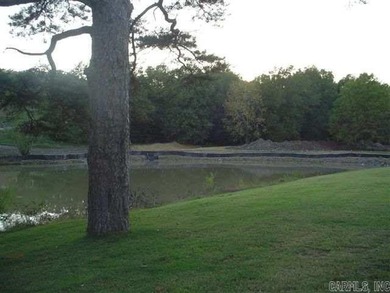 Lake Hamilton School District. Adjacent to a highly successful - photo 3