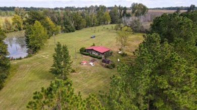 Lake Home For Sale in Blackville, South Carolina