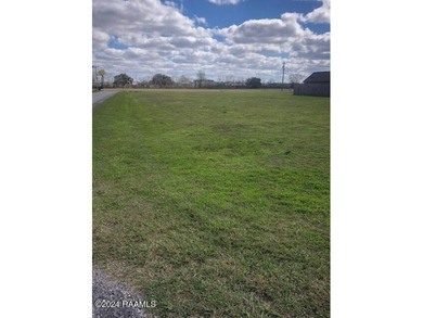 (private lake, pond, coastal) Lot For Sale in Breaux Bridge Louisiana