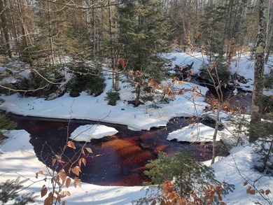 Lake Michigan - Schoolcraft County Acreage Active Under Contract in Manistique Michigan