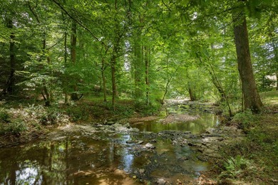 Welcome to 668 Lingerlost Rd,, a beautifully updated home in the - photo 44