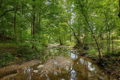 Welcome to 668 Lingerlost Rd,, a beautifully updated home in the - photo 46