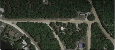 Violet Lake Lot For Sale in Interlachen Florida