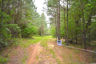 Lake Acreage For Sale in Etoile, Texas