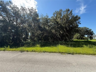 Black Bear Lake  Lot For Sale in Eustis Florida
