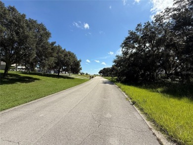 ?????? Build Your Dream Home in Black Bear Reserve - Eustis, FL - photo 4