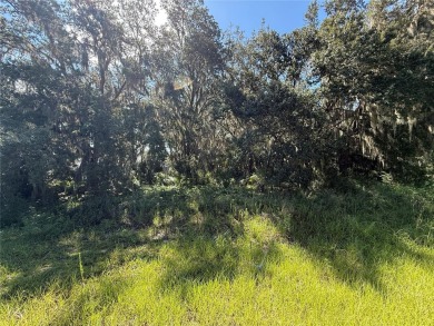 ?????? Build Your Dream Home in Black Bear Reserve - Eustis, FL - photo 5