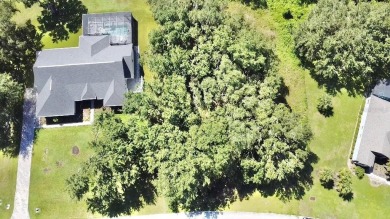 ?????? Build Your Dream Home in Black Bear Reserve - Eustis, FL - photo 6