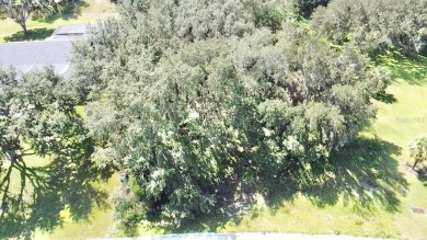 ?????? Build Your Dream Home in Black Bear Reserve - Eustis, FL - photo 7