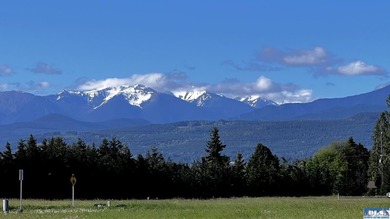 This prime 1 acre building lot with Olympic Mountain views and - photo 1