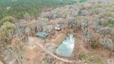(private lake, pond, creek) Home For Sale in Simms Texas