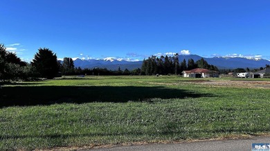 This prime 1 acre building lot with Olympic Mountain views and - photo 6
