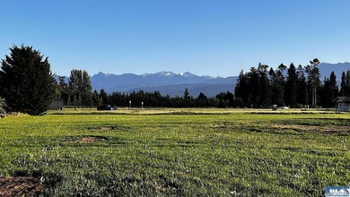 This prime 1 acre building lot with Olympic Mountain views and - photo 7