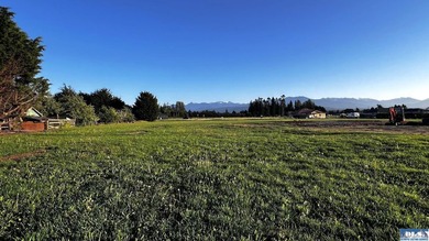 This prime 1 acre building lot with Olympic Mountain views and - photo 8