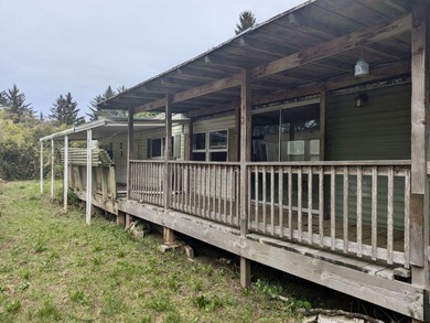 This mobile home sits on a spacious lot near the end of a - photo 11