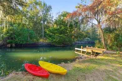 Waterfront living with your own private dock and no HOA. At 230 - photo 2