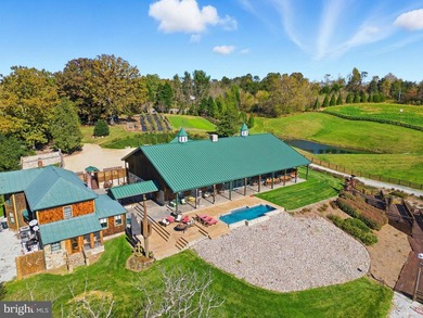 Charlottesville Area Lodge - Guesthouse - Barndominium Winery - photo 2