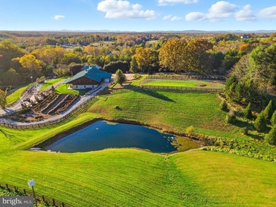 Charlottesville Area Lodge - Guesthouse - Barndominium Winery - photo 8