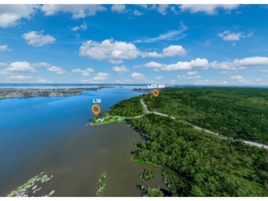 1 Waterfront Lot, 1 Acreage - photo 7