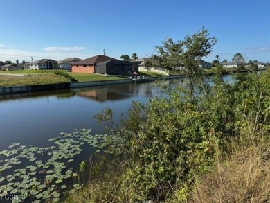 Build your dream home on this southern exposure, wide freshwater - photo 8