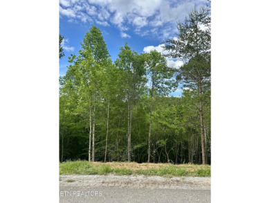 Lake Lot For Sale in Lafollette, Tennessee