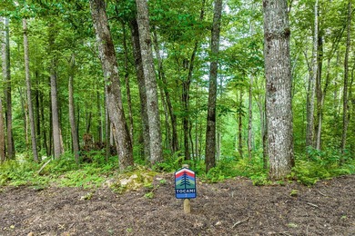Tocami Lot 7: This 2.22 acre homesite is the best value in - photo 2