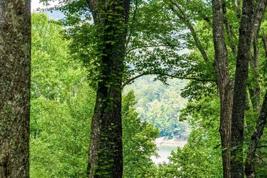 Tocami Lot 7: This 2.22 acre homesite is the best value in - photo 5