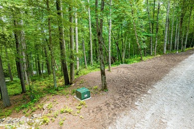 Tocami Lot 7: This 2.22 acre homesite is the best value in - photo 6