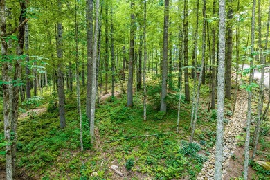 Tocami Lot 7: This 2.22 acre homesite is the best value in - photo 7