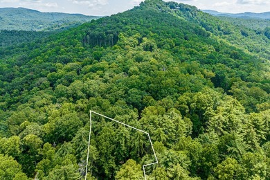 Tocami Lot 7: This 2.22 acre homesite is the best value in - photo 8
