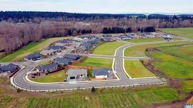 Discover Willow Creek Manor in the heart of the famous Sequim - photo 1