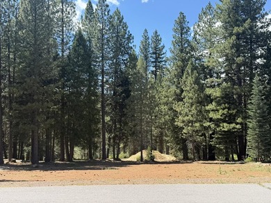 Don't miss this incredible opportunity to own a .61-acre lot - photo 1