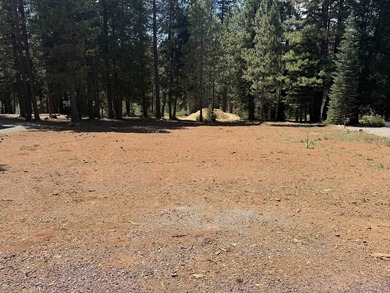 Don't miss this incredible opportunity to own a .61-acre lot - photo 2
