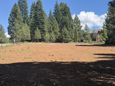 Don't miss this incredible opportunity to own a .61-acre lot - photo 4