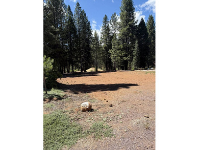 Don't miss this incredible opportunity to own a .61-acre lot - photo 5