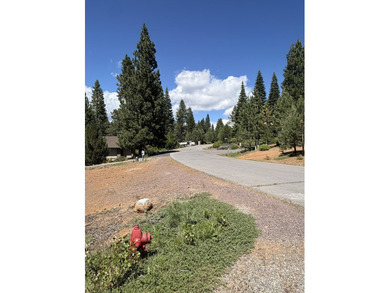 Don't miss this incredible opportunity to own a .61-acre lot - photo 6