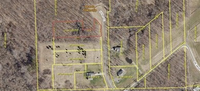 Thompson Lake - Livingston County Lot For Sale in Howell Michigan
