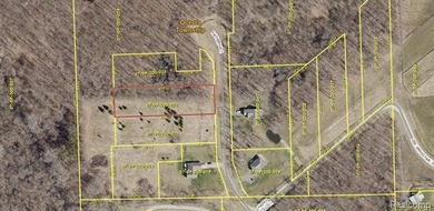 Thompson Lake - Livingston County Lot For Sale in Howell Michigan