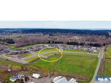 Discover Willow Creek Manor in the heart of the famous Sequim - photo 4