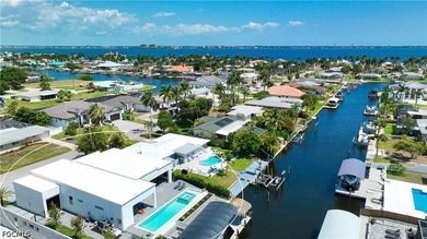 STUNNING CONTEMPORARY RESIDENCE ON BAYSHORE AVENUE! Boaters' - photo 50
