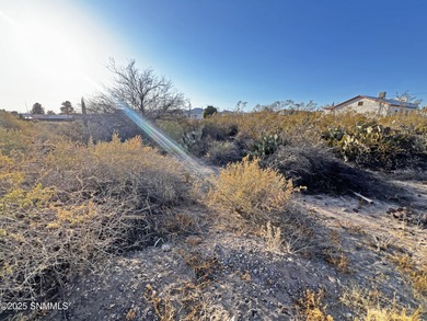 Elephant Butte Reservoir Lot For Sale in Truth or Consequences New Mexico