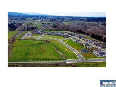 Discover Willow Creek Manor in the heart of the famous Sequim - photo 4