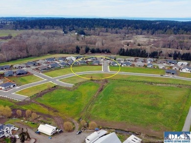 Discover Willow Creek Manor in the heart of the famous Sequim - photo 4
