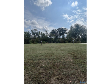 Lake Lot For Sale in Gaylesville, Alabama
